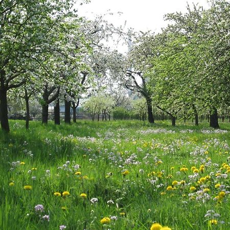 Ferienwohnung Zwischen Rhein Und Schwarzwald Bischweier Экстерьер фото