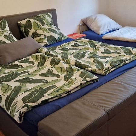 Ferienwohnung Zwischen Rhein Und Schwarzwald Bischweier Экстерьер фото