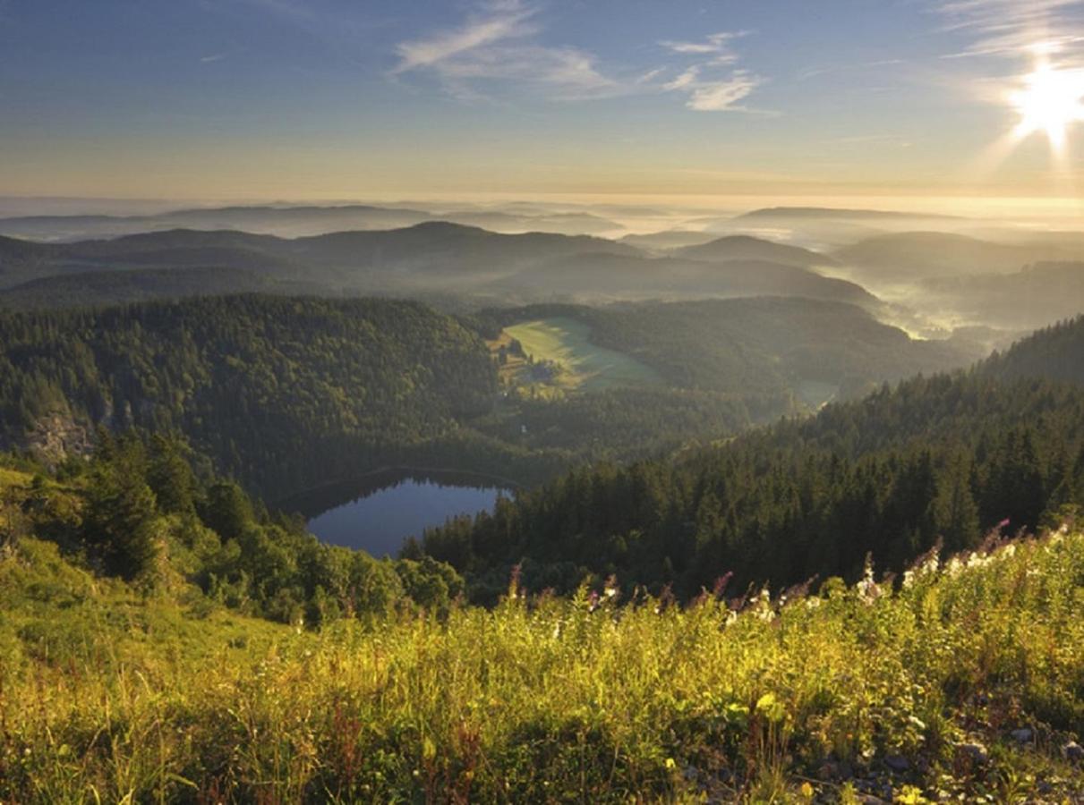Ferienwohnung Zwischen Rhein Und Schwarzwald Bischweier Экстерьер фото